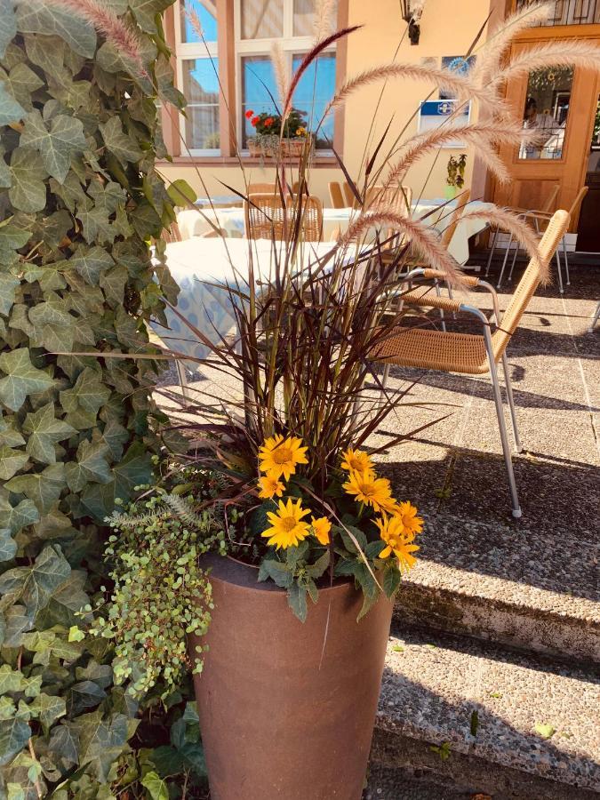 Hotel Roessli Allschwil المظهر الخارجي الصورة